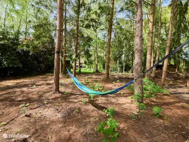 Villa Bosrijk maison de vacances Bosland | Belgique, Limbourg, Lommel - maison de vacances Forêt