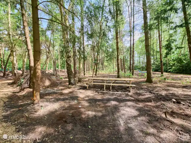 Villa Bosrijk maison de vacances Bosland | Belgique, Limbourg, Lommel - maison de vacances Forêt