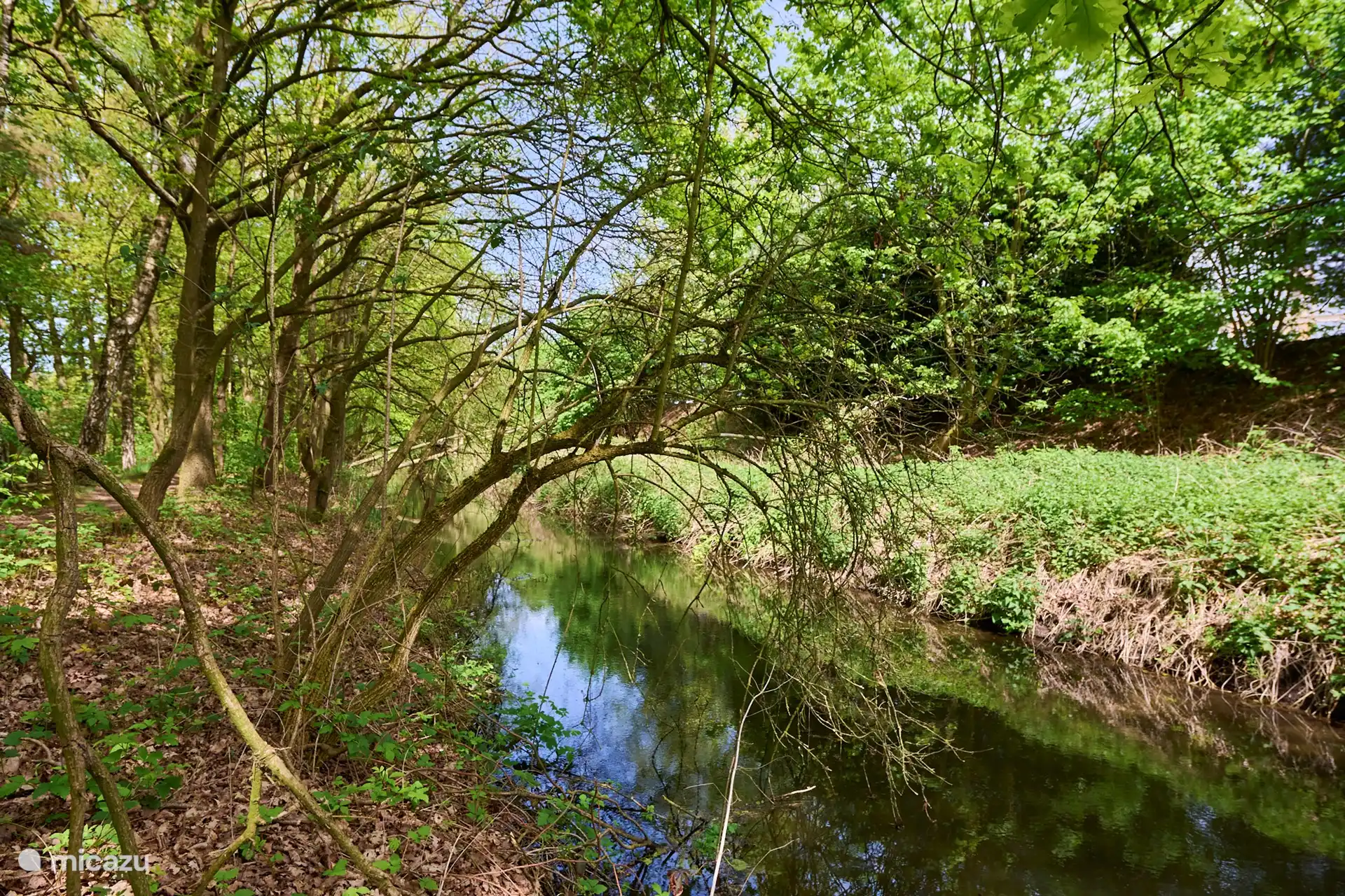 Toegang achterkant tuin