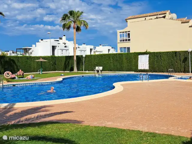 Casa Vivir la Vida | Espagne, Costa Blanca, Punta Prima - appartement Grande piscine à +/- 100 mètres à pied