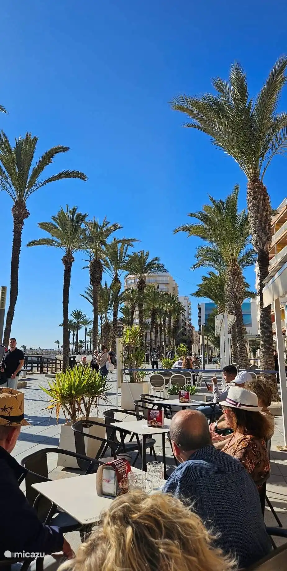 Boulevard Torrevieja