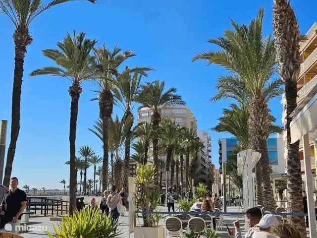 Casa Vivir la Vida | Espagne, Costa Blanca, Punta Prima - appartement Boulevard Torrevieja