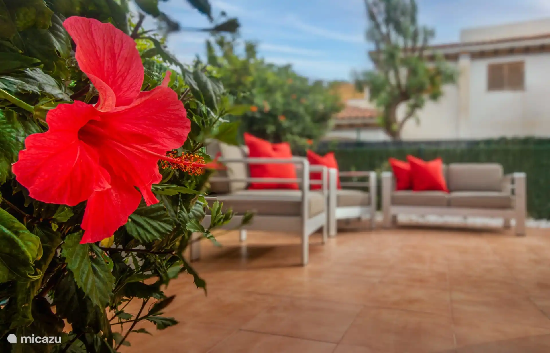 omheinde tuin, terras en loungeset