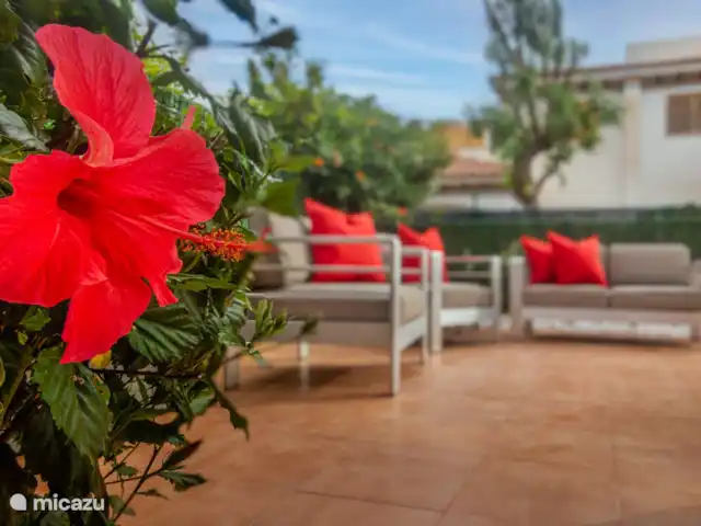 Amigos II à Veramar - playa 300m | Espagne, Costa de Almeria, Vera-Plage - appartement Jardin clos, terrasse et salon