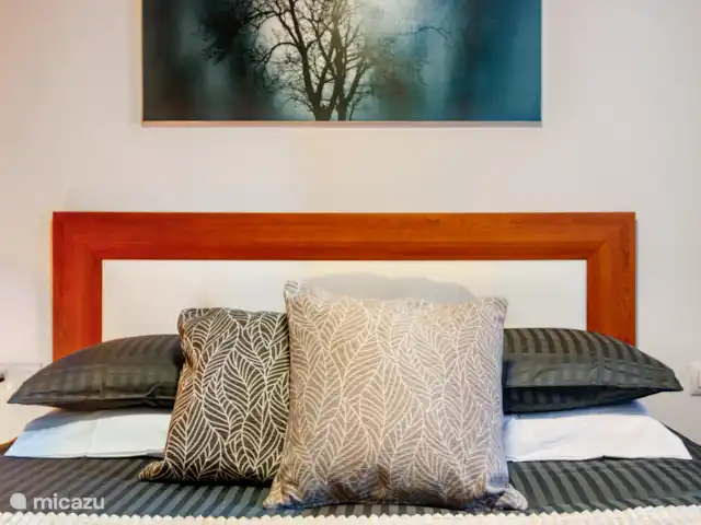 Amigos II à Veramar - playa 300m | Espagne, Costa de Almeria, Vera-Plage - appartement Grande chambre, avec draps de qualité, coussins décoratifs et tête de lit
