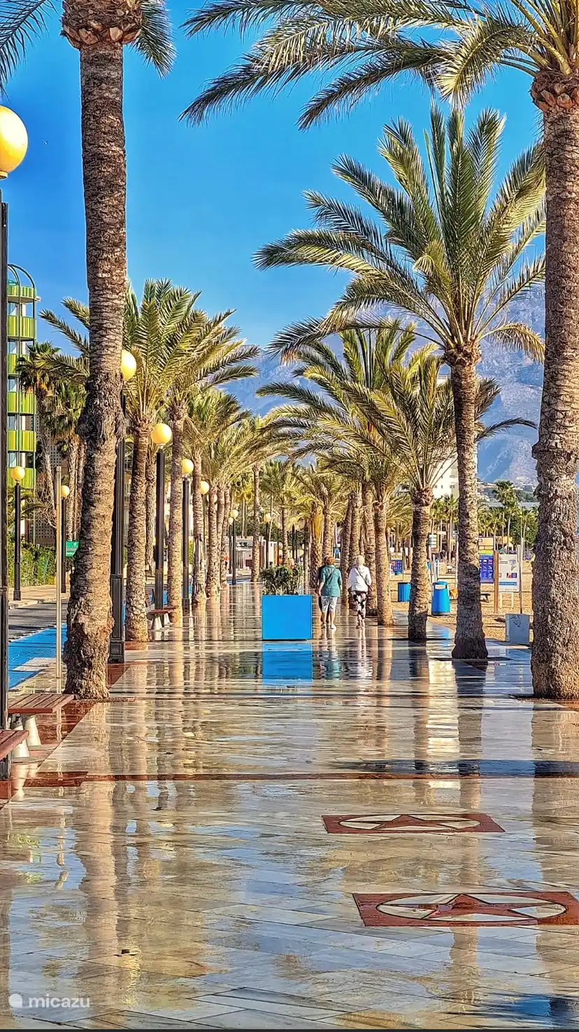 Promenade à l'Albir