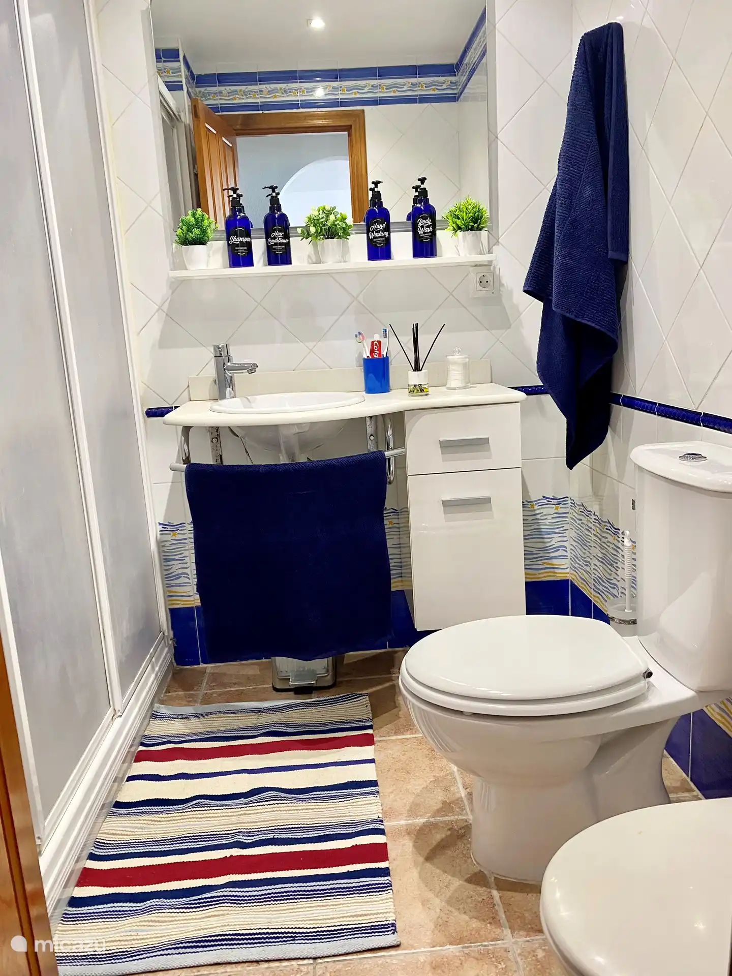 Badezimmer mit großer Dusche. Bidet.