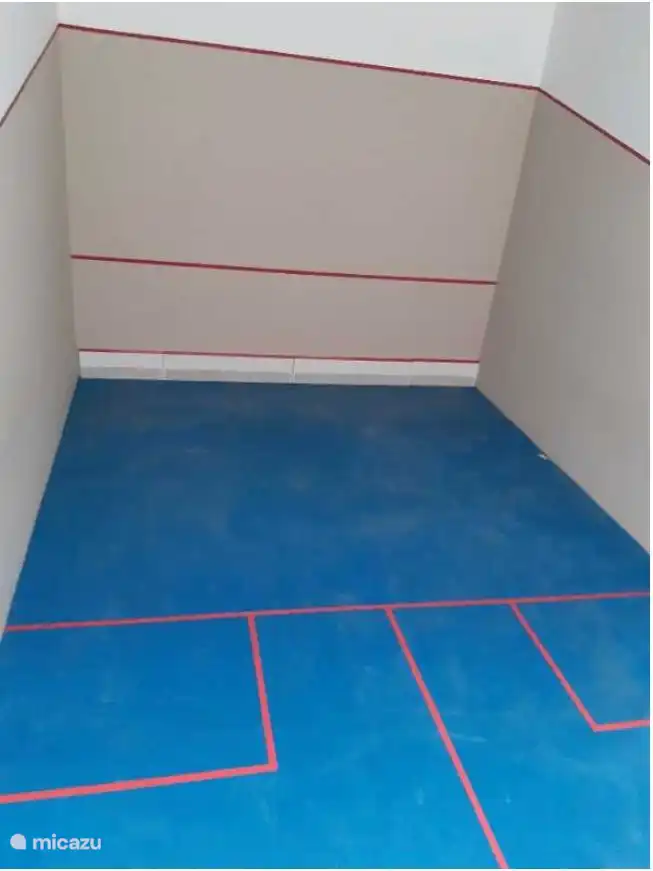 Terrain de squash