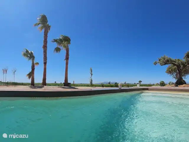 Masos Bruguera - Finca Llambrich | Espagne, Catalogne,  Deltebre - ferme Panoramique