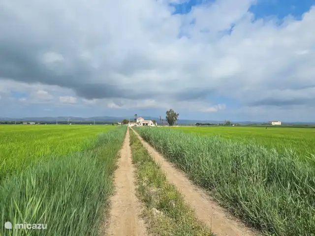 Masos Bruguera - Finca Llambrich | Espagne, Catalogne,  Deltebre - ferme Vue sur la nature
