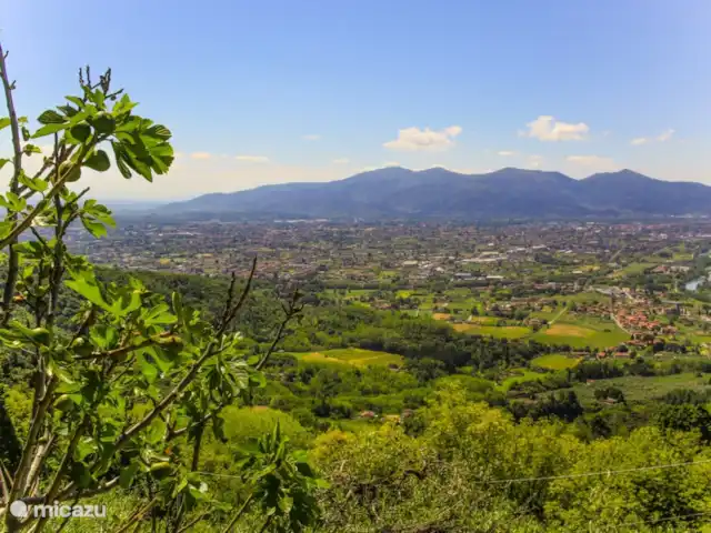 Villa Moriano 8 | Italie, Toscane, Lucca - villa