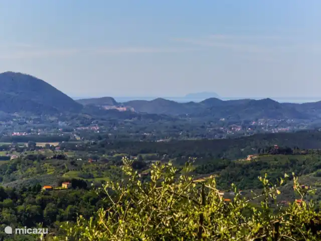 Villa Moriano 8 | Italie, Toscane, Lucca - villa