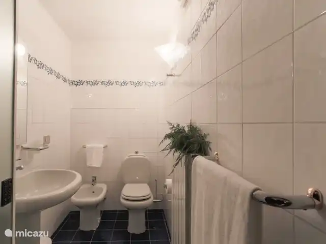 Villa Moriano 8 | Italie, Toscane, Lucca - villa