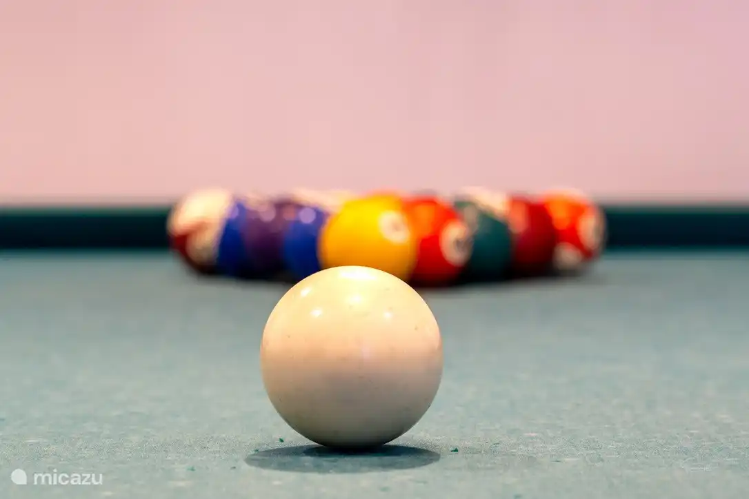 Das Billard 