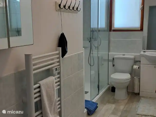 Location de Vacances France, Charente-Maritime, Saint-Pierre-de-Juillers, villa - Villa Hirondelles avec piscine privée Douche à effet pluie