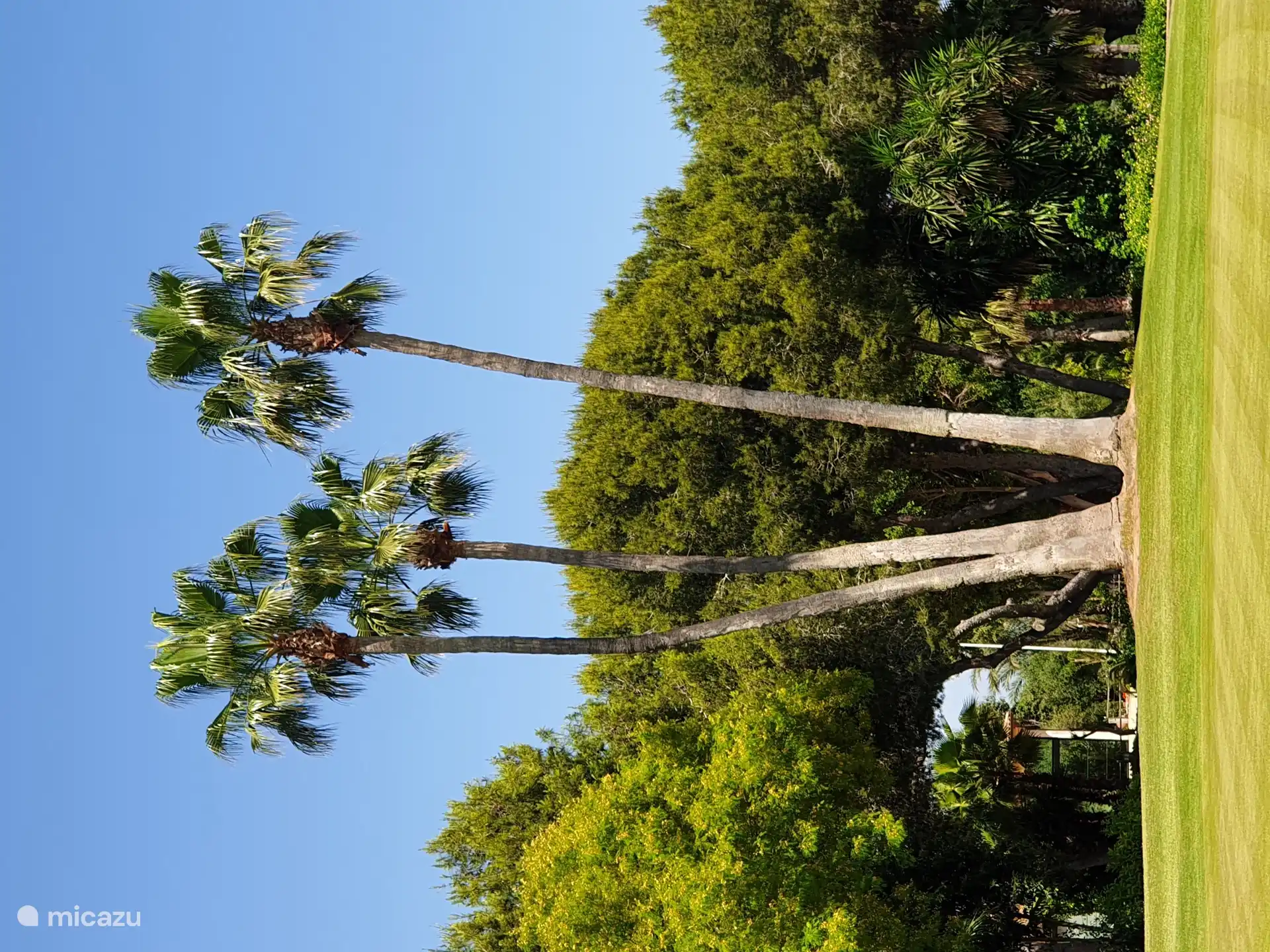 Golfplatz El Plantio