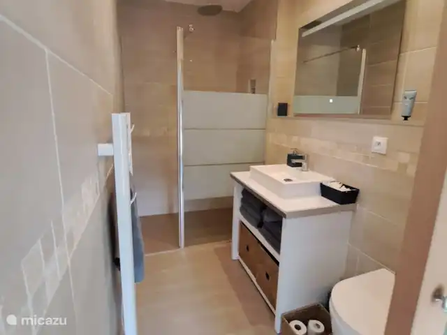 Location de Vacances France, Charente-Maritime, Saint-Jean-d'Angély, maison de ville - Villa des Thermes deuxième salle de bain avec douche à l'italienne