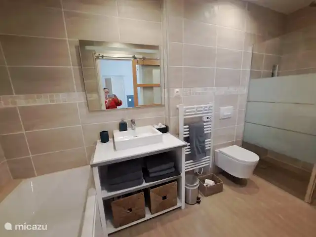 Location de Vacances France, Charente-Maritime, Saint-Jean-d'Angély, maison de ville - Villa des Thermes Salle de bain avec baignoire et douche à l'italienne