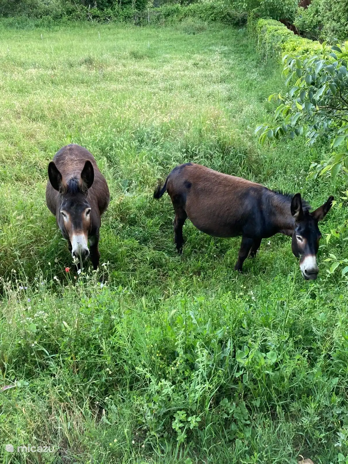 Unsere freundlichen Nachbarn :)