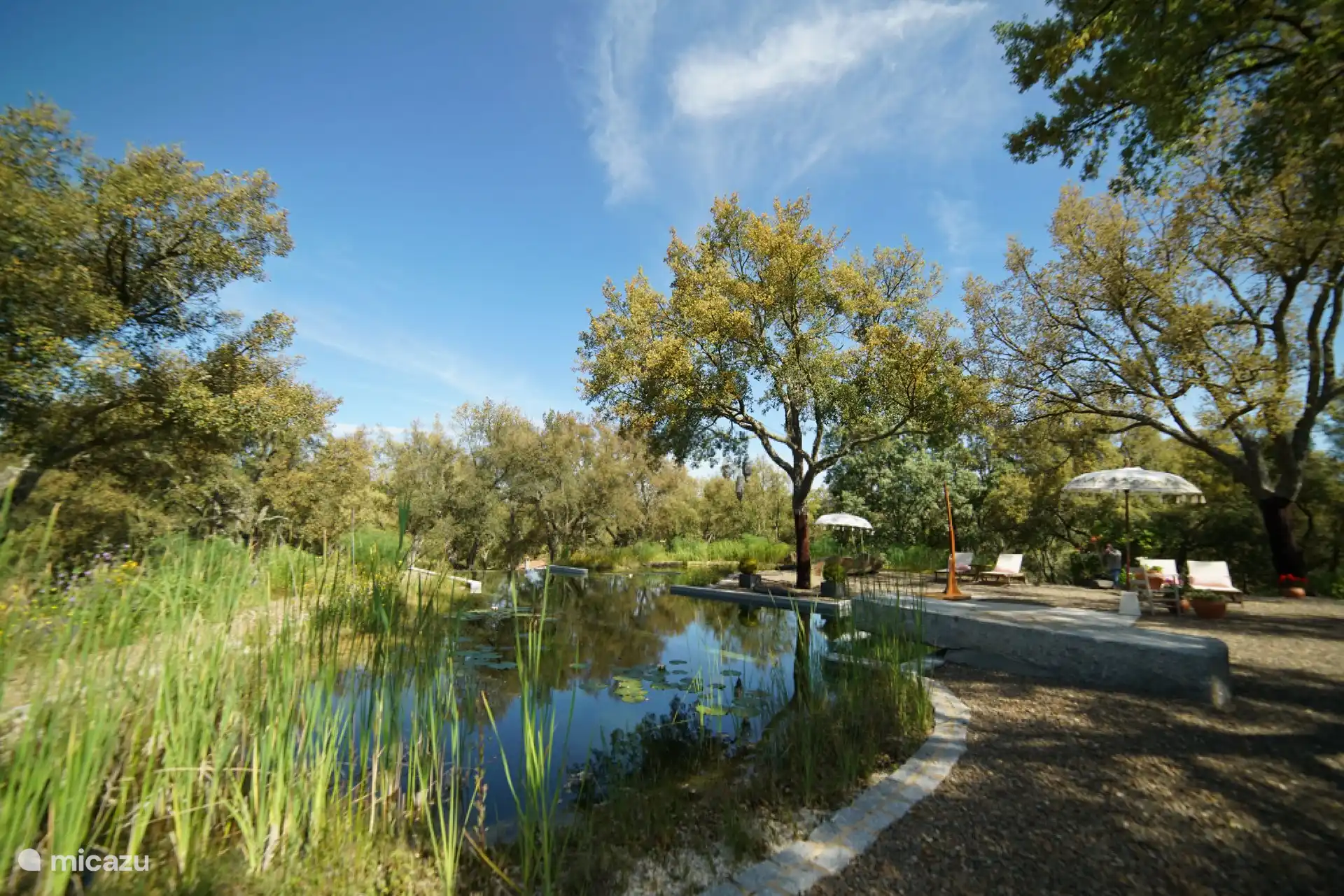 Shared swimming pool