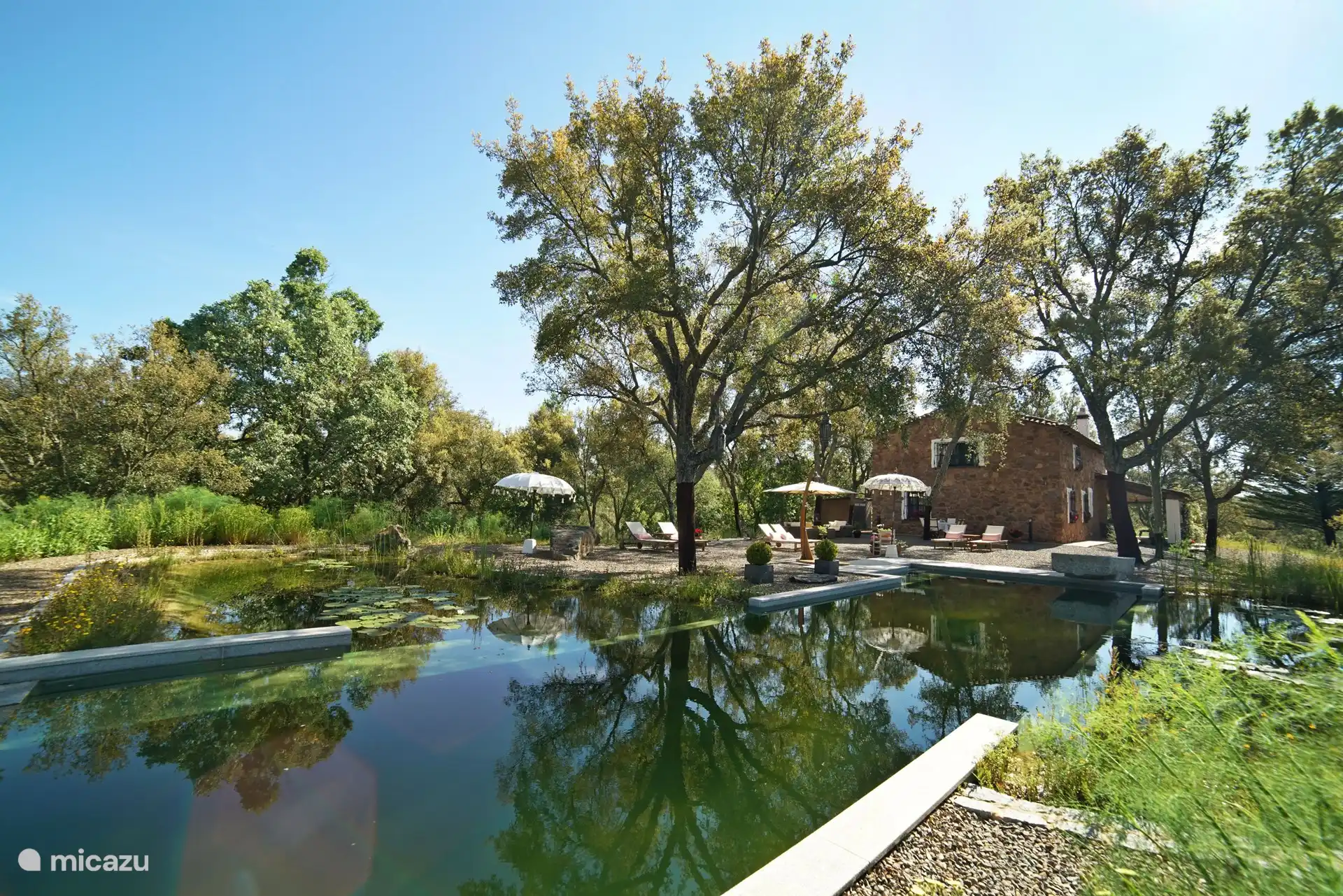 Shared swimming pool