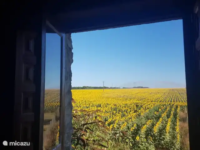 Location de Vacances France, Poitou-Charentes, Journet, gîte / cottage -  'Pêche' - La Grange du Moulin  Vue vers l’arrière
