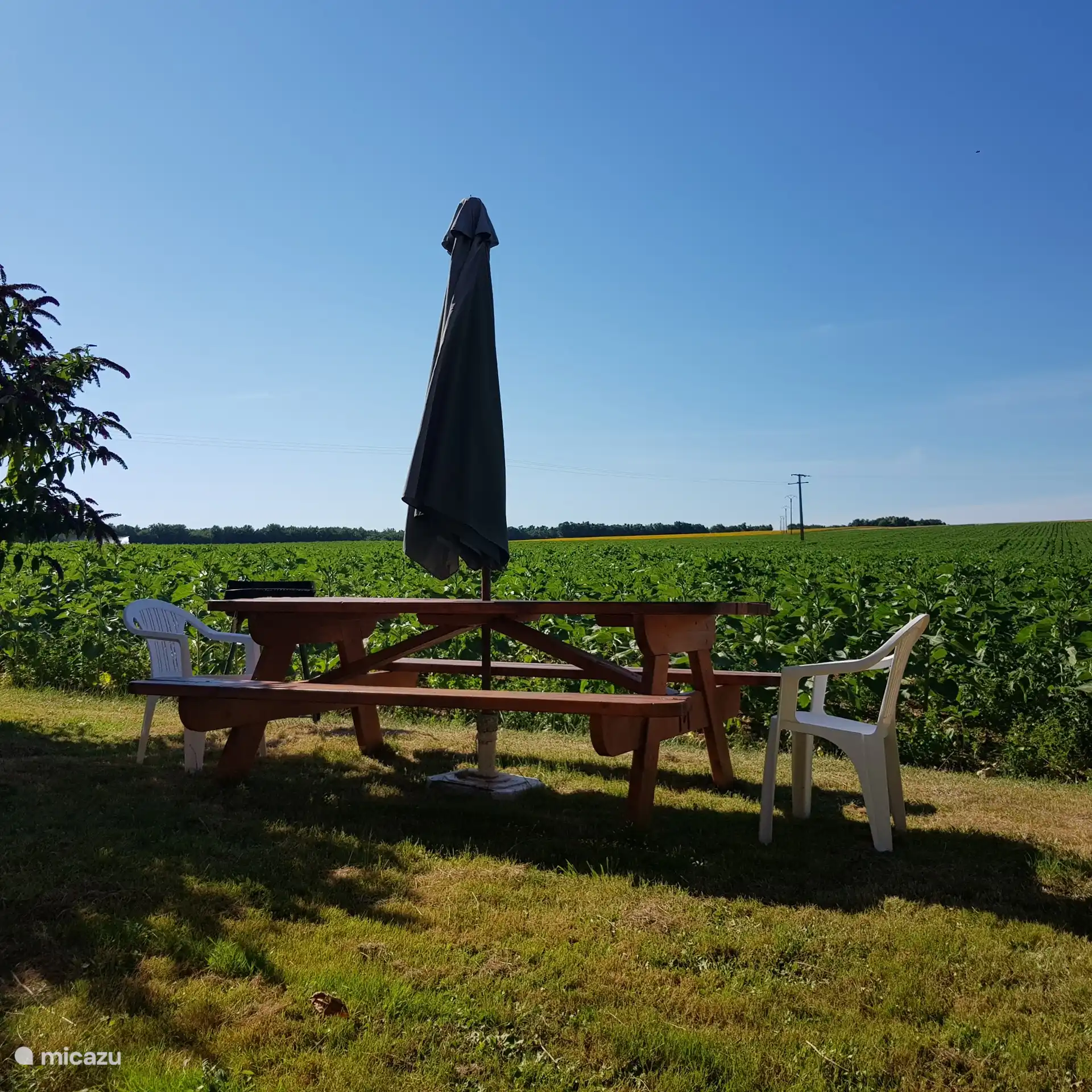 Achtertuin met picknicktafel met uitzicht op de velden