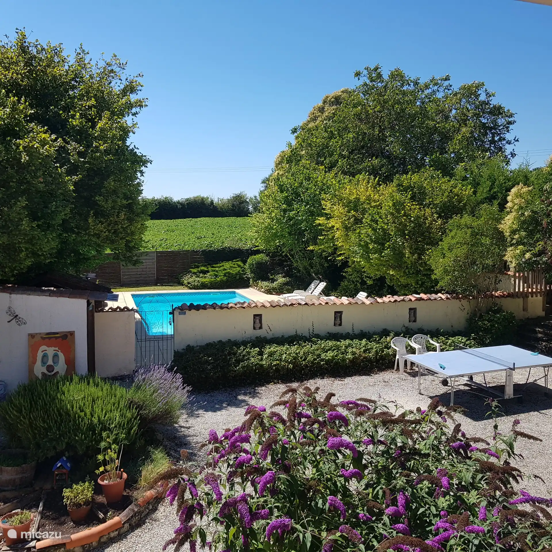 Kijkt uit over het zwembad