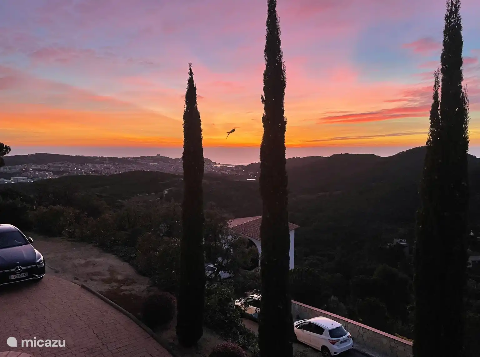 Blick aus dem Wohnzimmer 