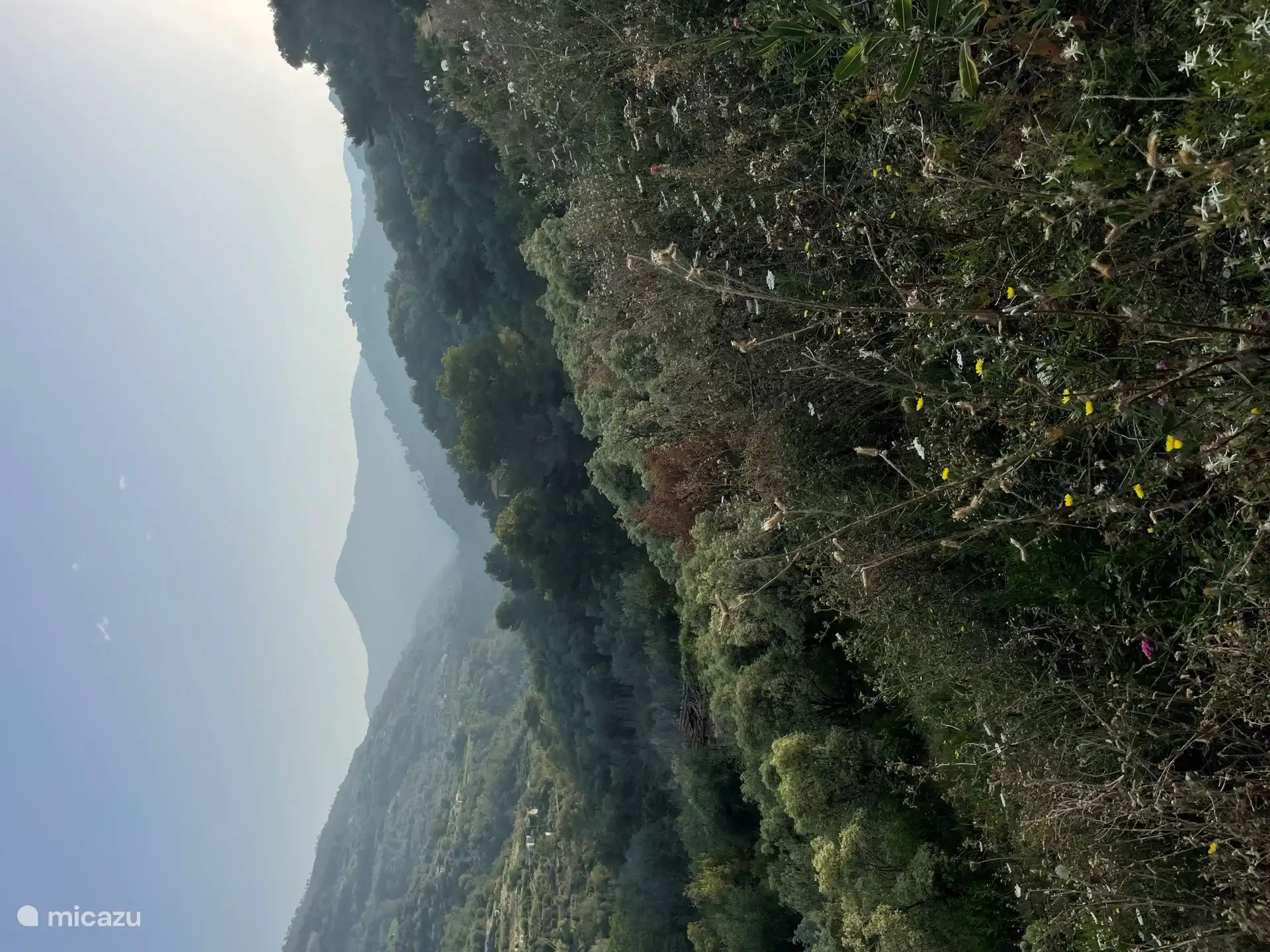 Hügel in der Nähe von Vallebona