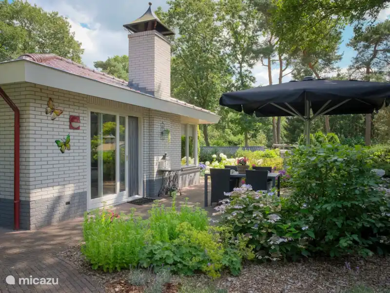 Heidehuysje | Pays-Bas, Overijssel, Holten - Maison de vacances Heidehuysje | Pays-Bas, Overijssel, Holten - Maison de vacances