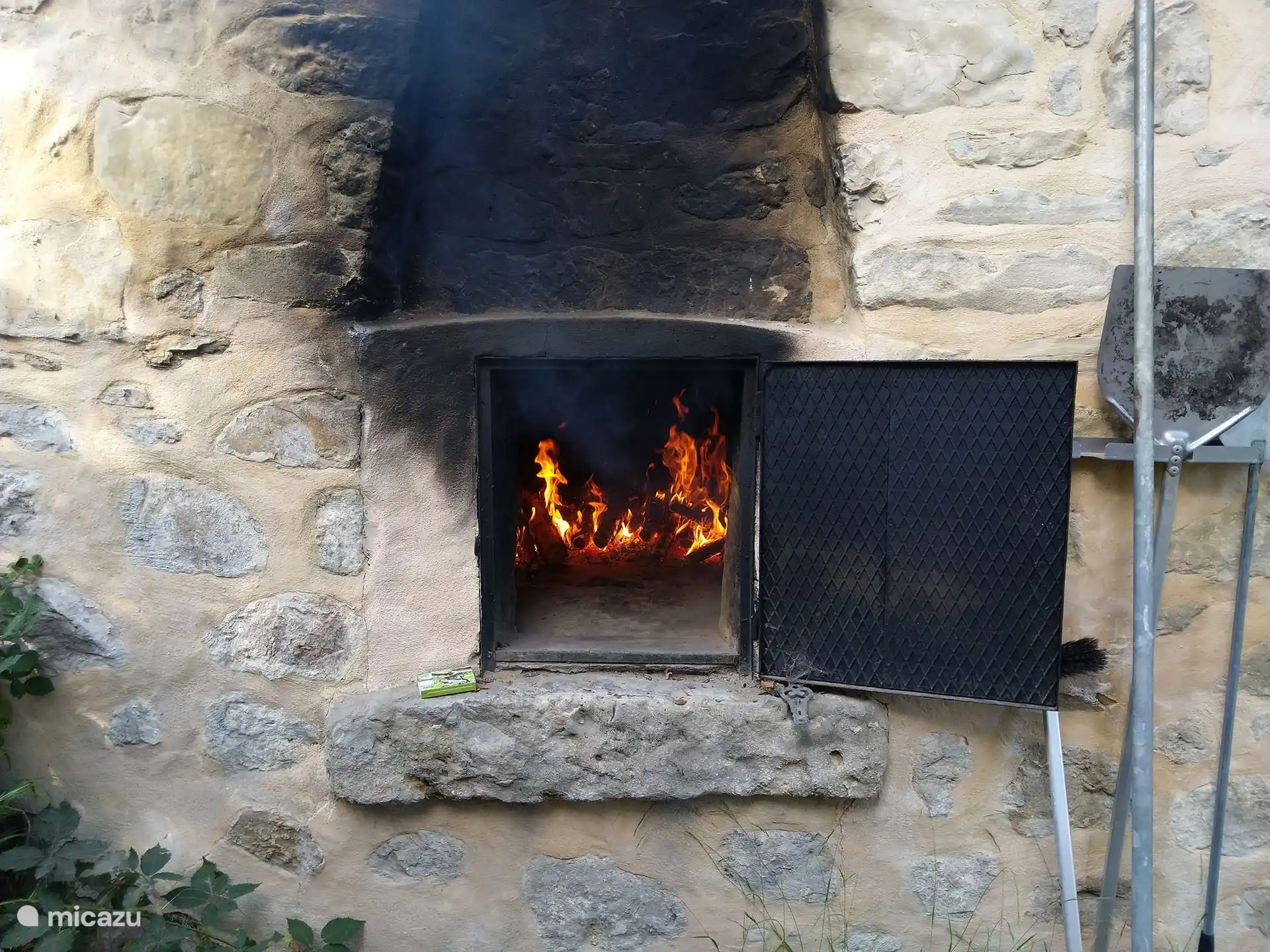 Four à pizza / pain