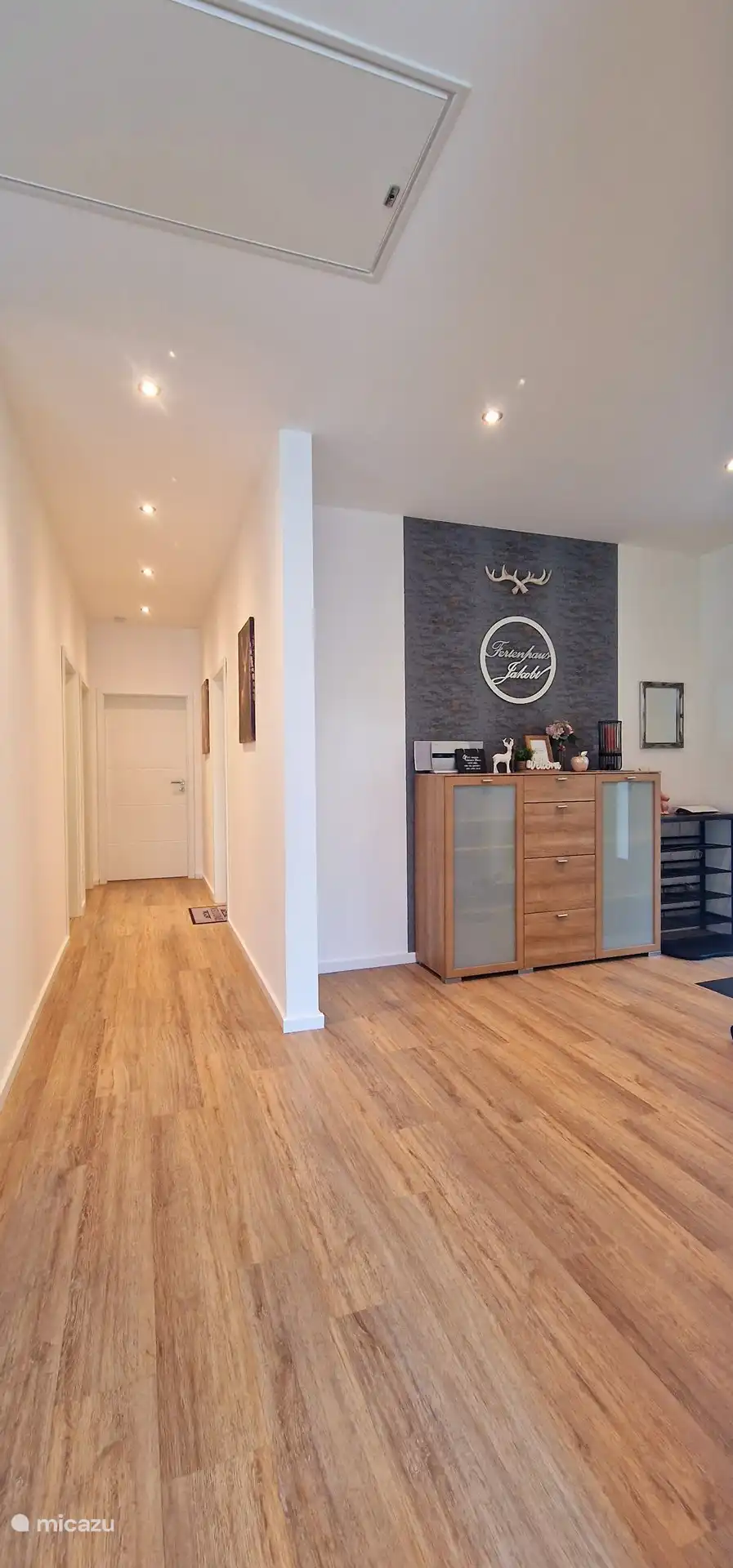 Zona de entrada/pasillo