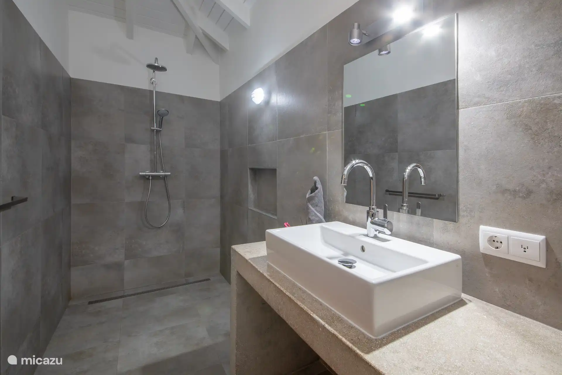 Ruime, luxe badkamer met douche, wastafel en toilet