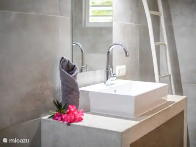 Location de Vacances Curaçao, Banda Ariba (est), Vista Royal, appartement - Appartement Mike Salle de bain spacieuse et luxueuse avec douche, lavabo et toilettes