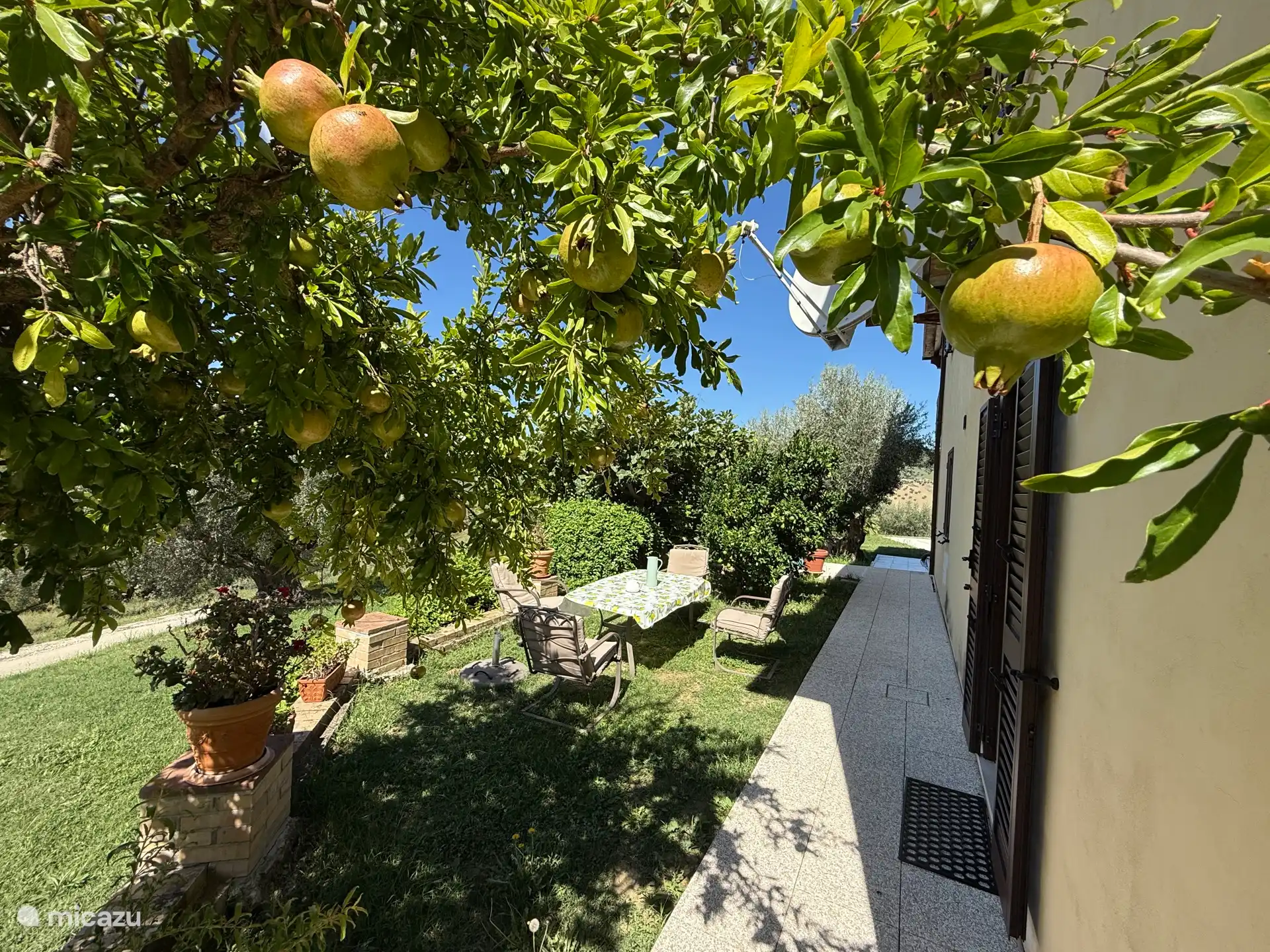 Puertas francesas de la cocina en la terraza bajo las granadas y naranjos.