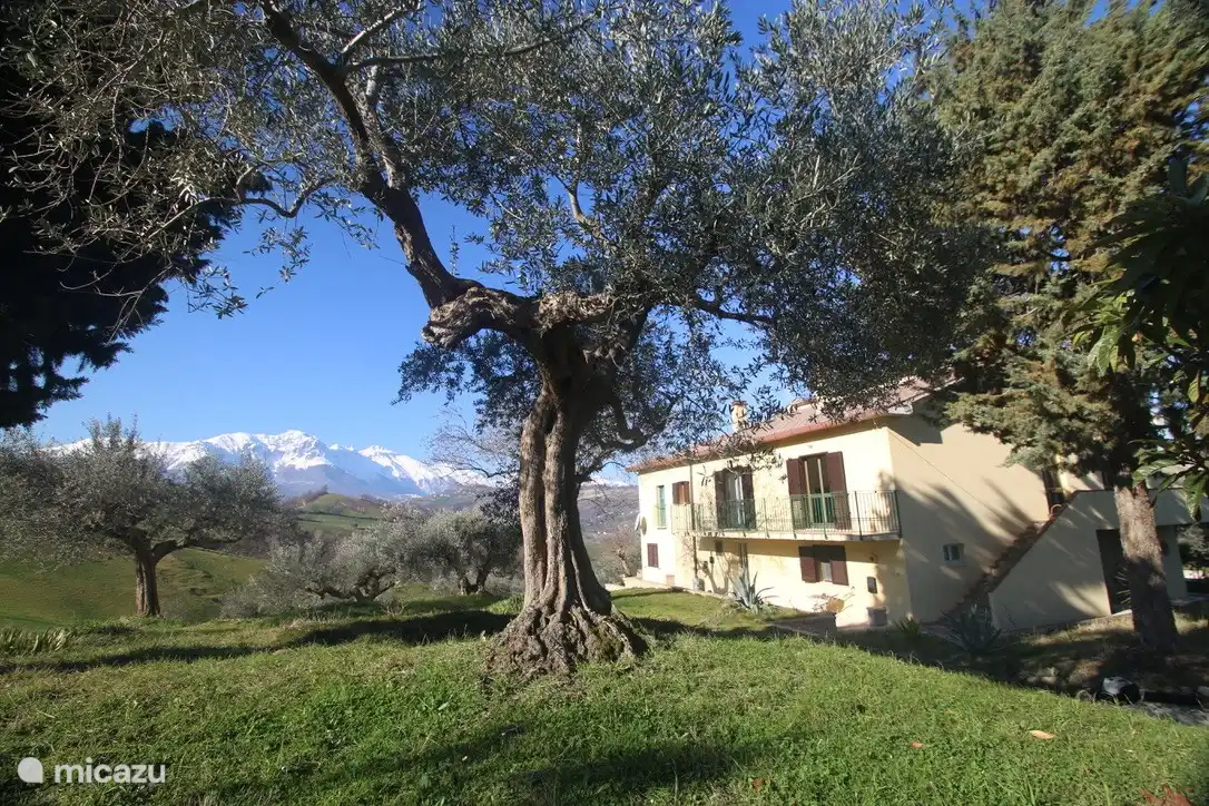 Casa Tulipani con el Gran Sasso a lo lejos