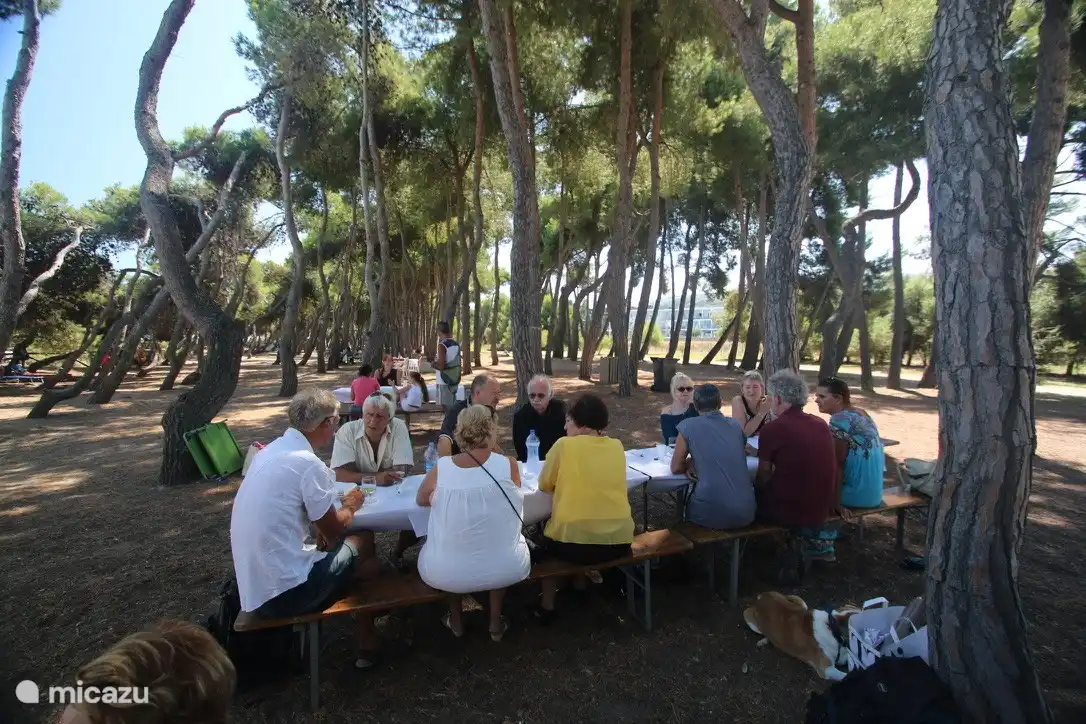 Come bajo los pinos de la playa.