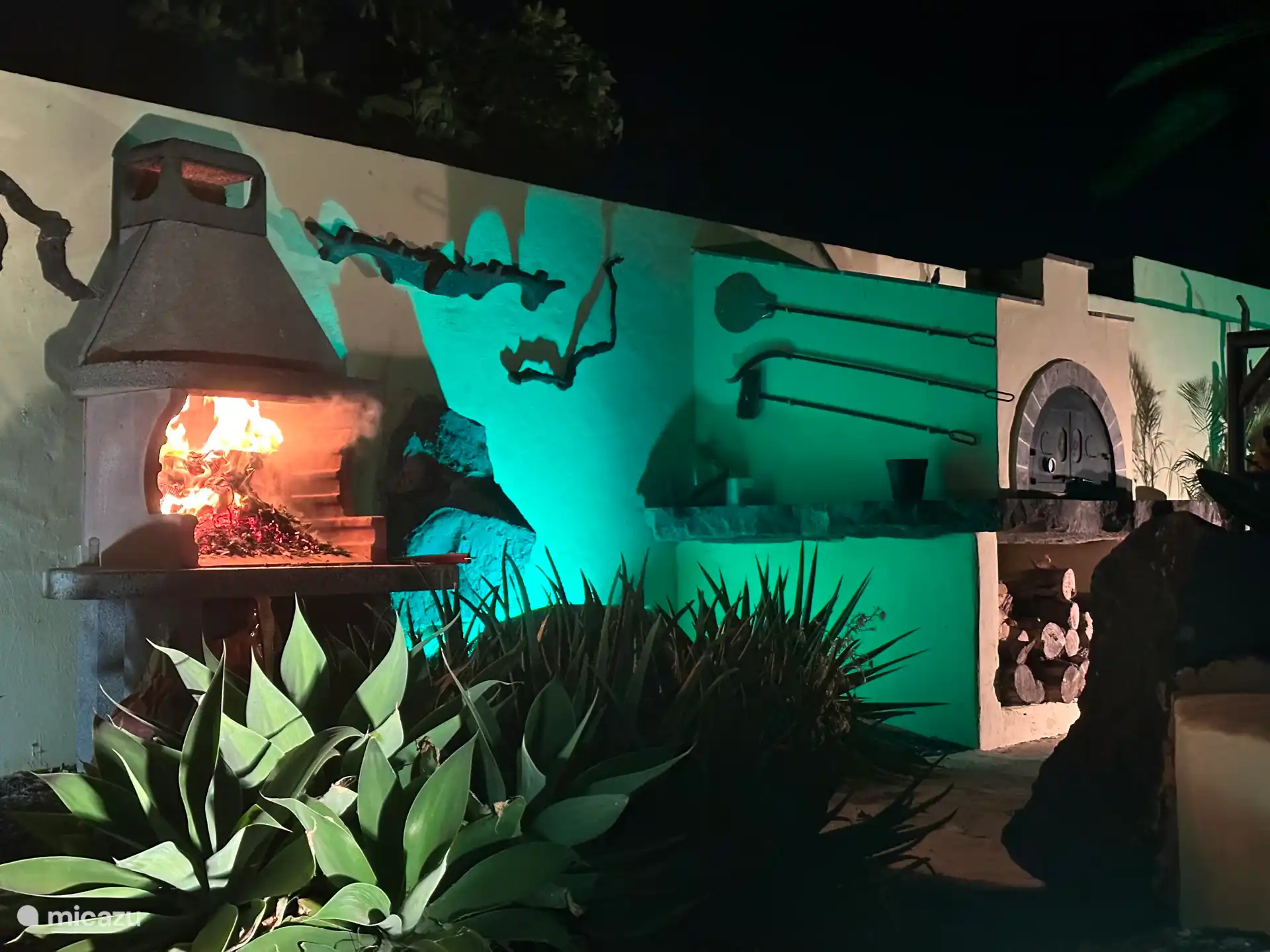 Pizza en barbecue met lichtshow