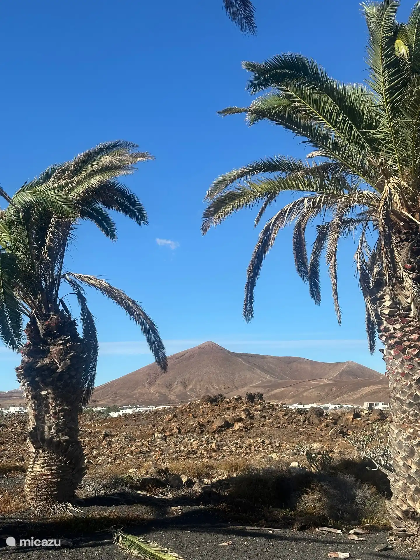 Zicht vanuit entree villa