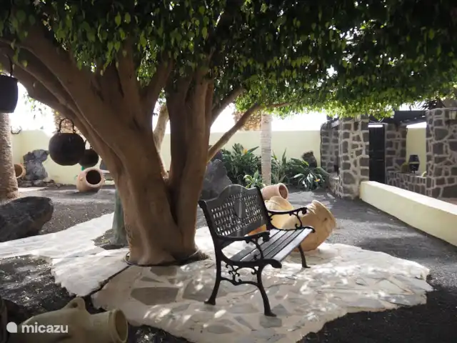 Villa Gonzalez | Espagne, Lanzarote, Costa Teguise - villa Cour