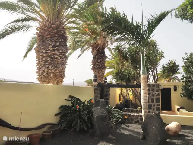 Villa Gonzalez | Espagne, Lanzarote, Costa Teguise - villa Cour