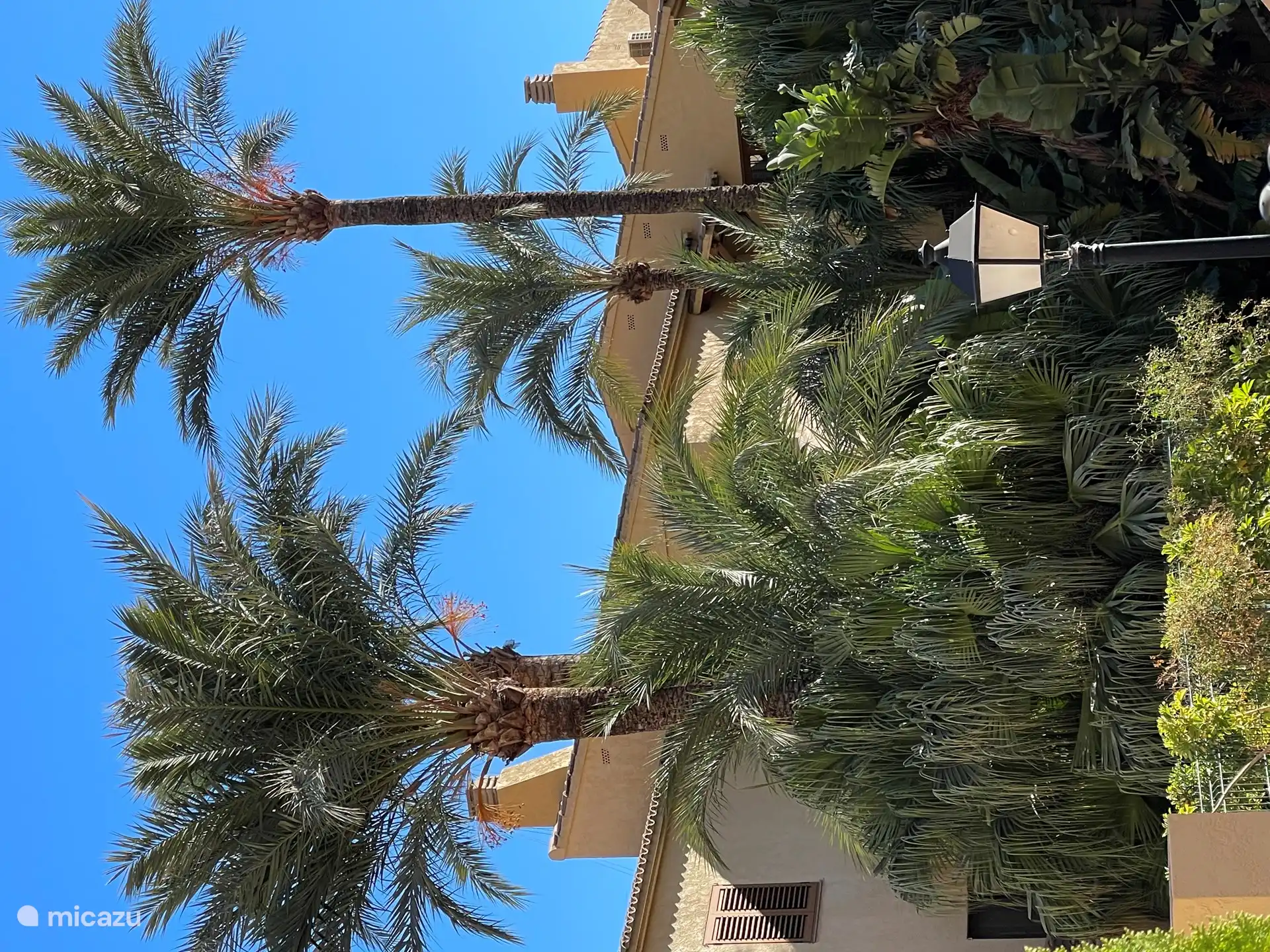 Vue depuis la terrasse. Les jardins sont magnifiquement aménagés. 