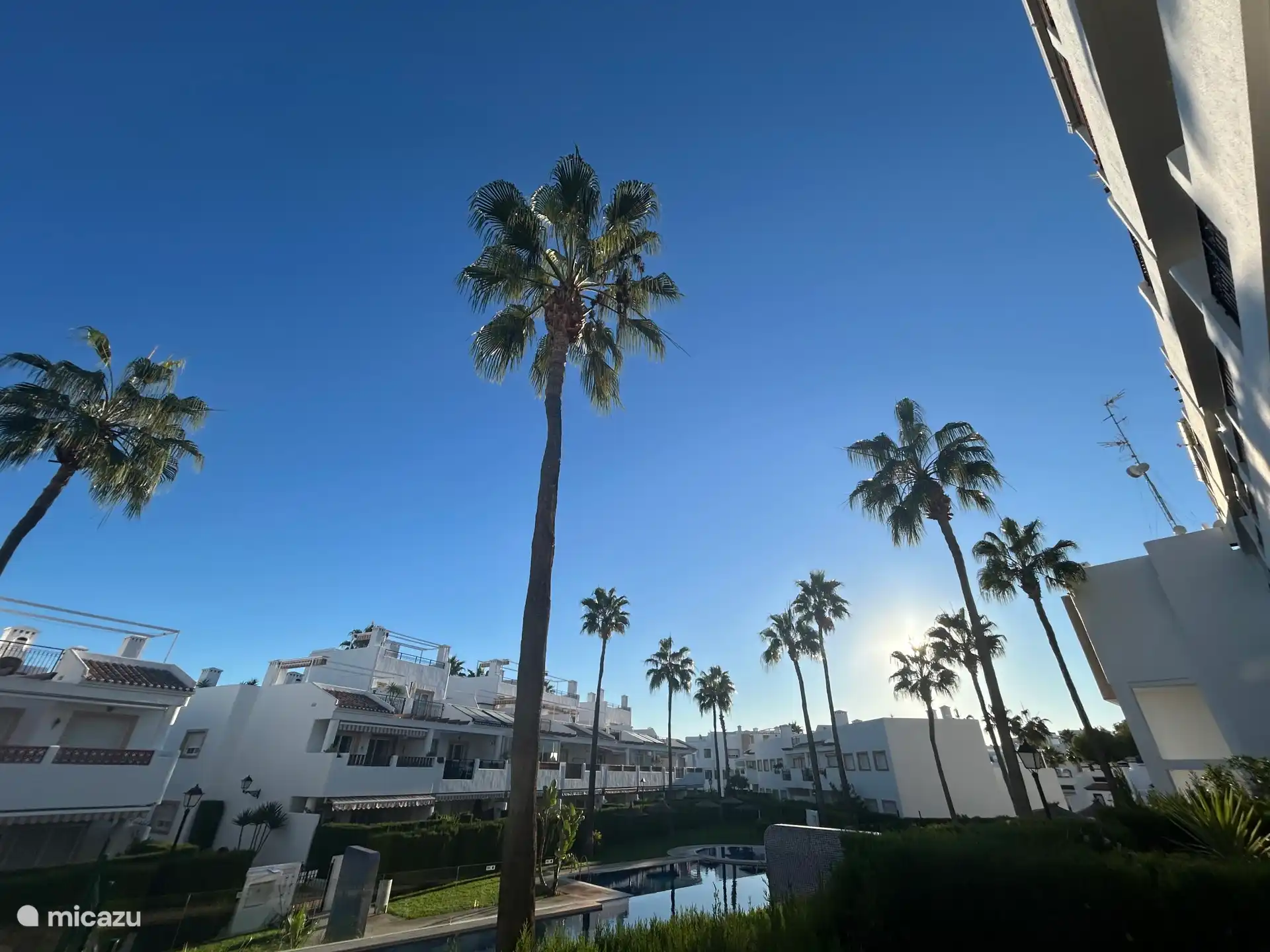 Blick von der Terrasse auf den Pool