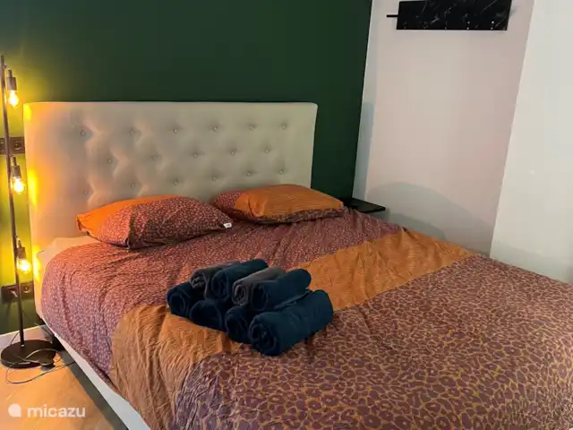 Location de Vacances Pays-Bas, Hollande du Nord, Velsen, tiny house - Modern & Cozy Tiny House Chambre au rez-de-chaussée