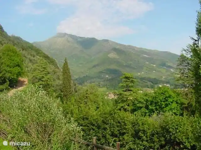 Villa Pepino | Italie, Toscane, Lucca - villa Villa Pepino