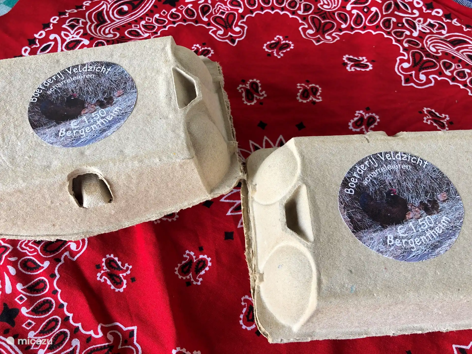 Streekproducten in de streekkast te koop zoals eieren/zuivel/ijs/kringloopvlees/honing/jam/noten.... maar ook de besjes en fruit wat op de camping groeit zijn te plukken en te eten.