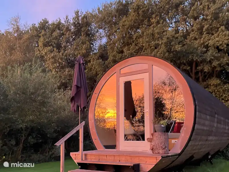 Eco-lodge de Droomstam huren in Nederland, Overijssel, De Krim - Tiny House Eco-lodge de Droomstam huren in Nederland, Overijssel, De Krim - Tiny House