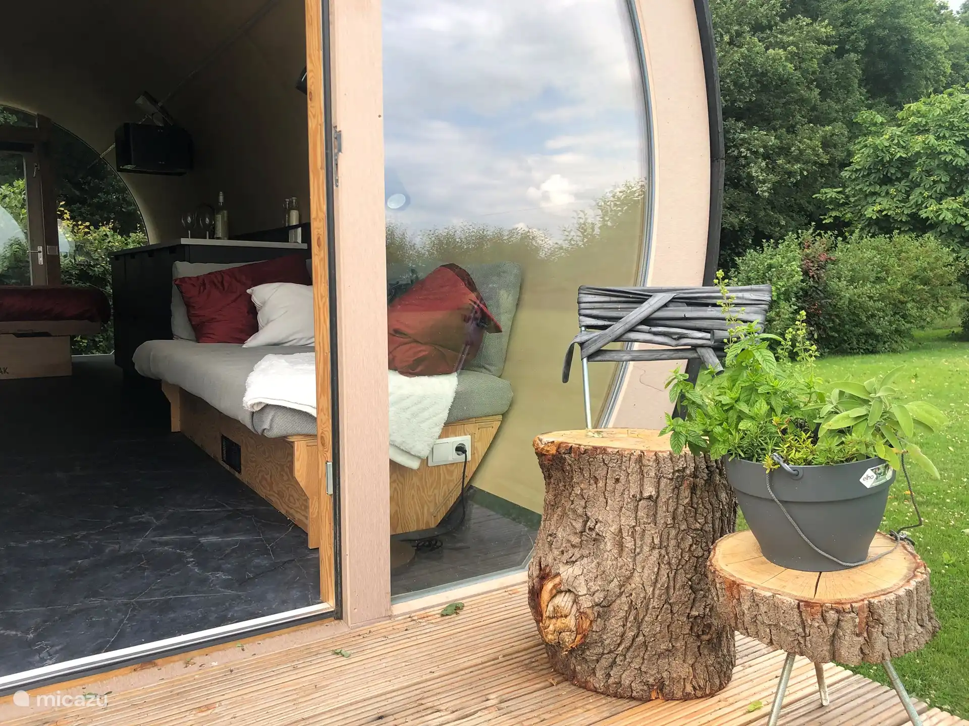 Deze boomstam is model geweest voor de buitenkant van de Droomstam.