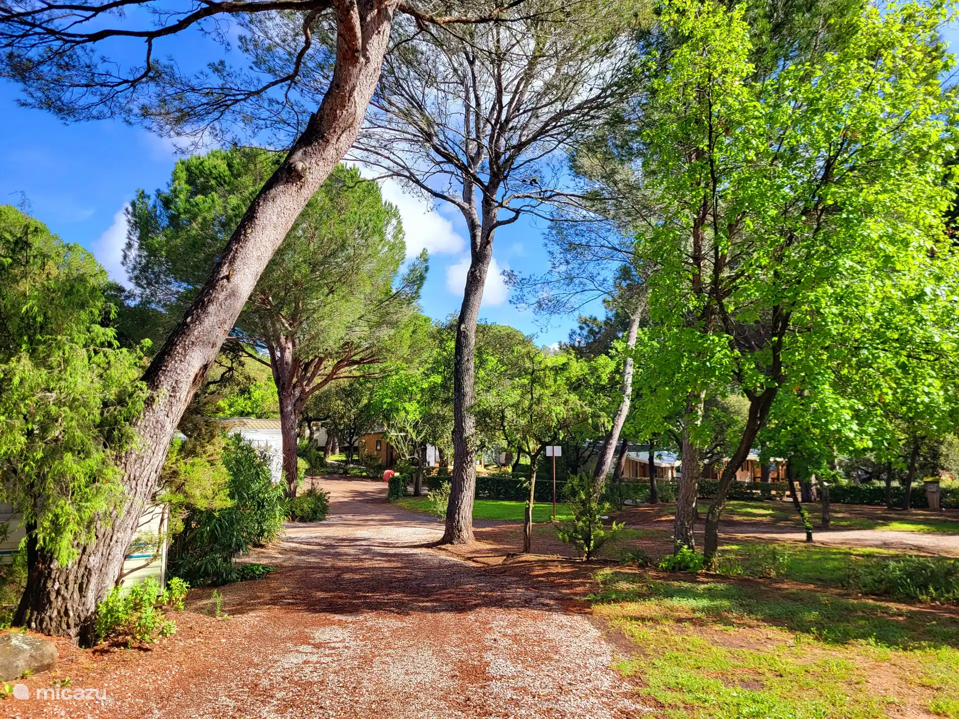 Ein Eindruck von den grünen Alleen auf Leï Suves